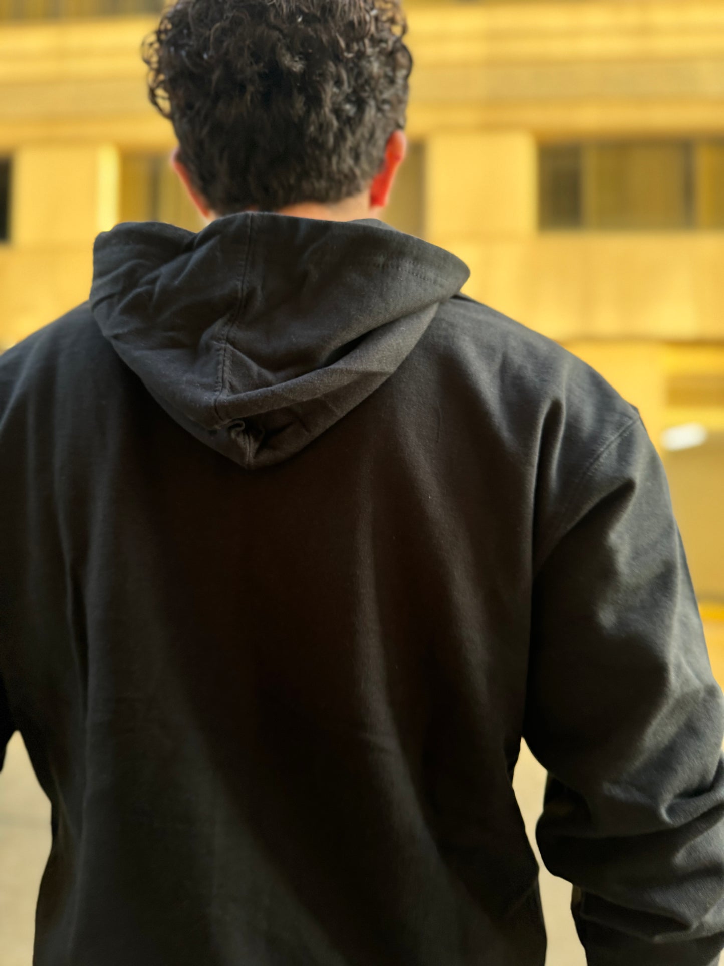 District Hoodie Exotic